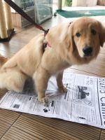 WhatsApp-Image-2019-05-10-at-12.51.20 WhatsApp-Image-2019-05-10-at-12.51.20